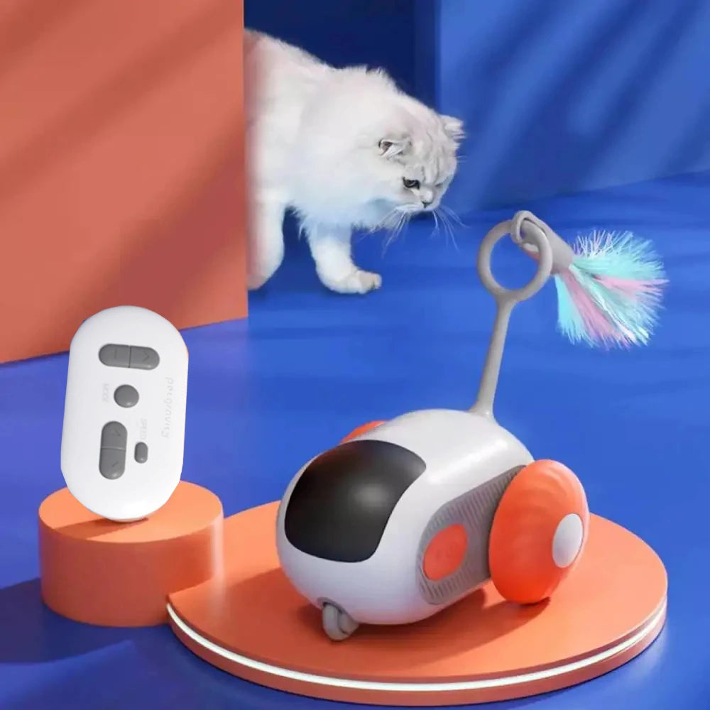 Smart Cat Toy Car